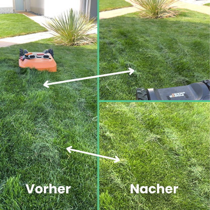 HexaTrim Pro Messerscheibe + 6 GRATIS Messer